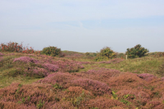 Zaterdag 3 september